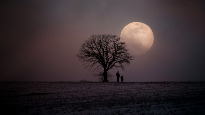 Derevo luna silue`t Tree moon silhouette 700x393 Дерево, луна, силуэт   Tree, moon, silhouette